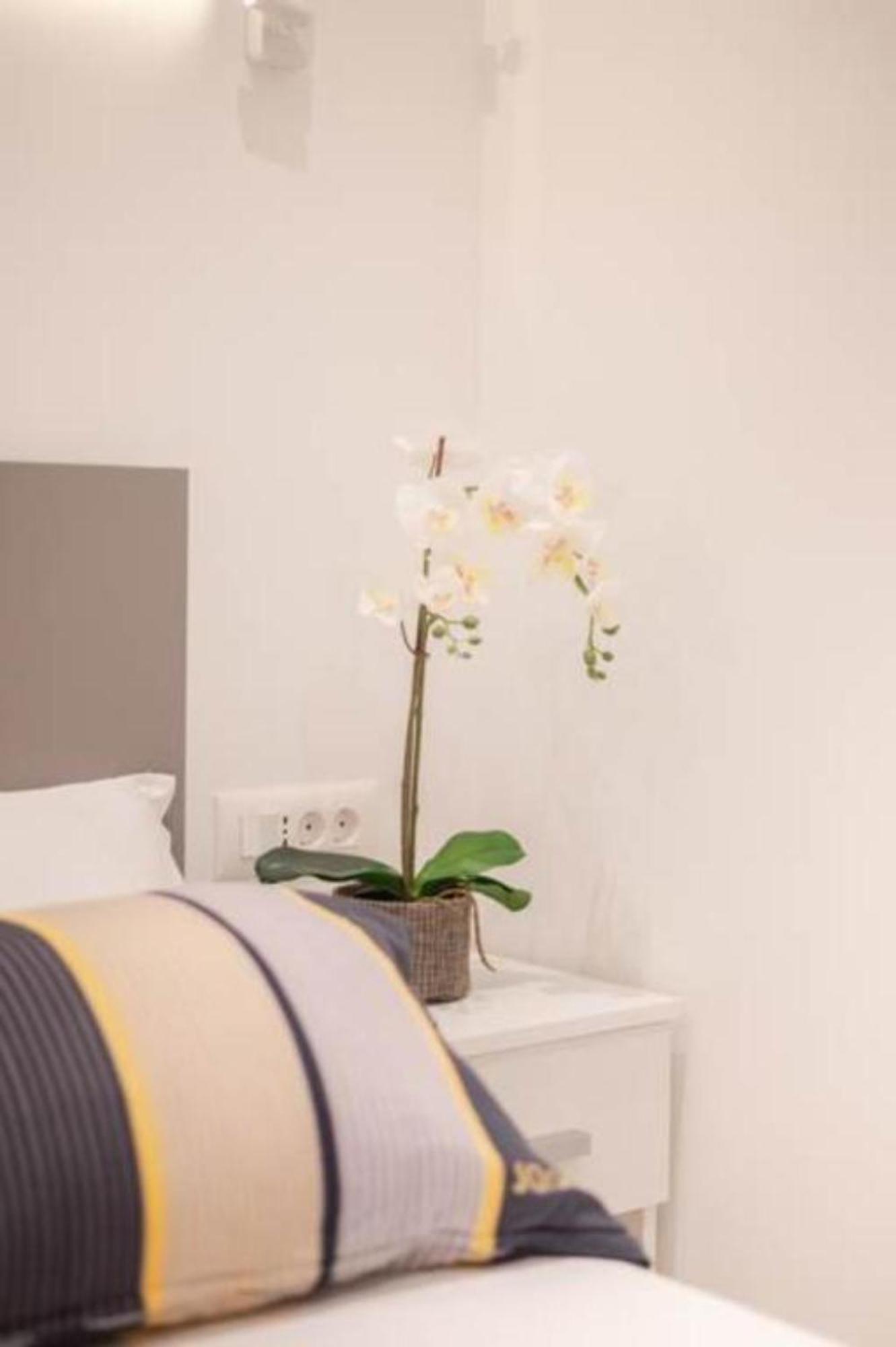 Canta Amore Suites Zadar Extérieur photo